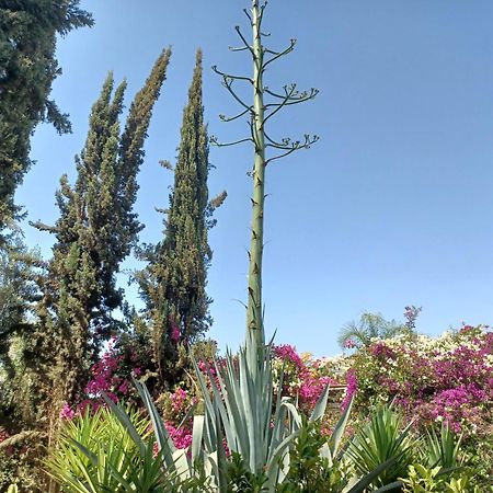 Riad-Villa Agadir-Taroudant Sidi Boumoussa Экстерьер фото