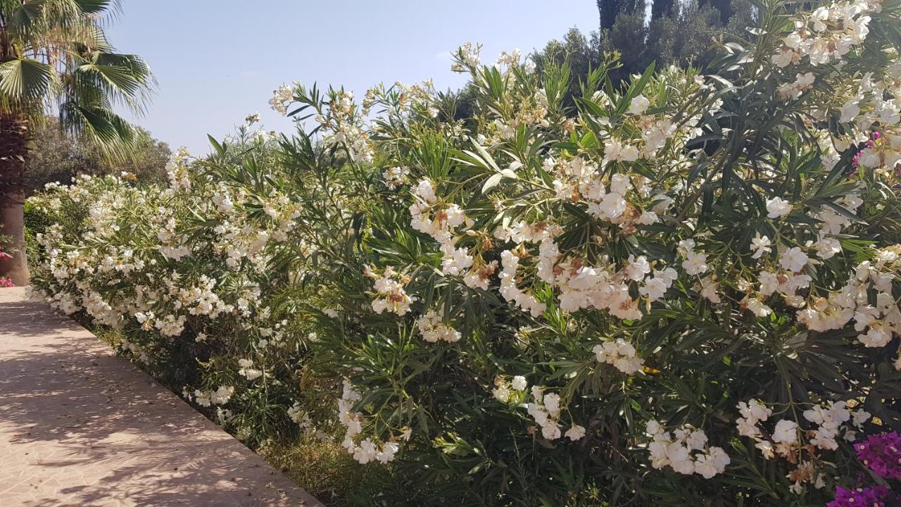 Riad-Villa Agadir-Taroudant Sidi Boumoussa Экстерьер фото