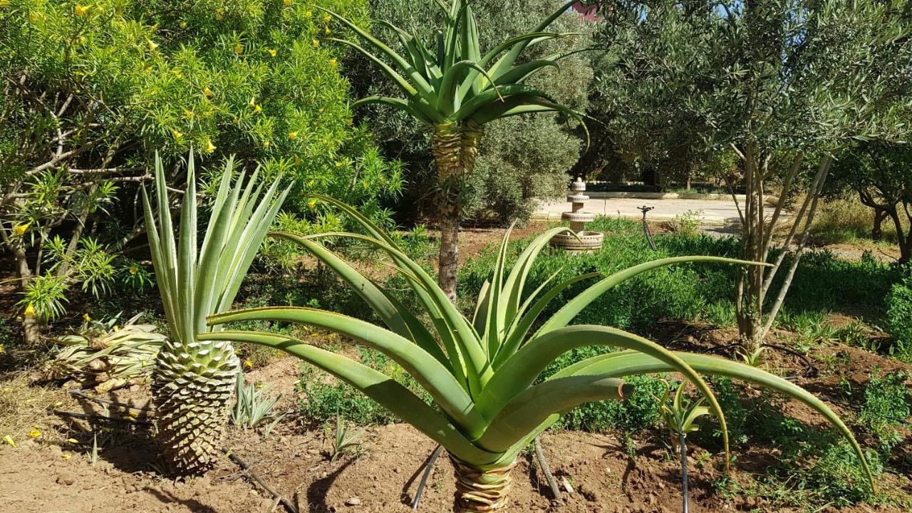 Riad-Villa Agadir-Taroudant Sidi Boumoussa Экстерьер фото