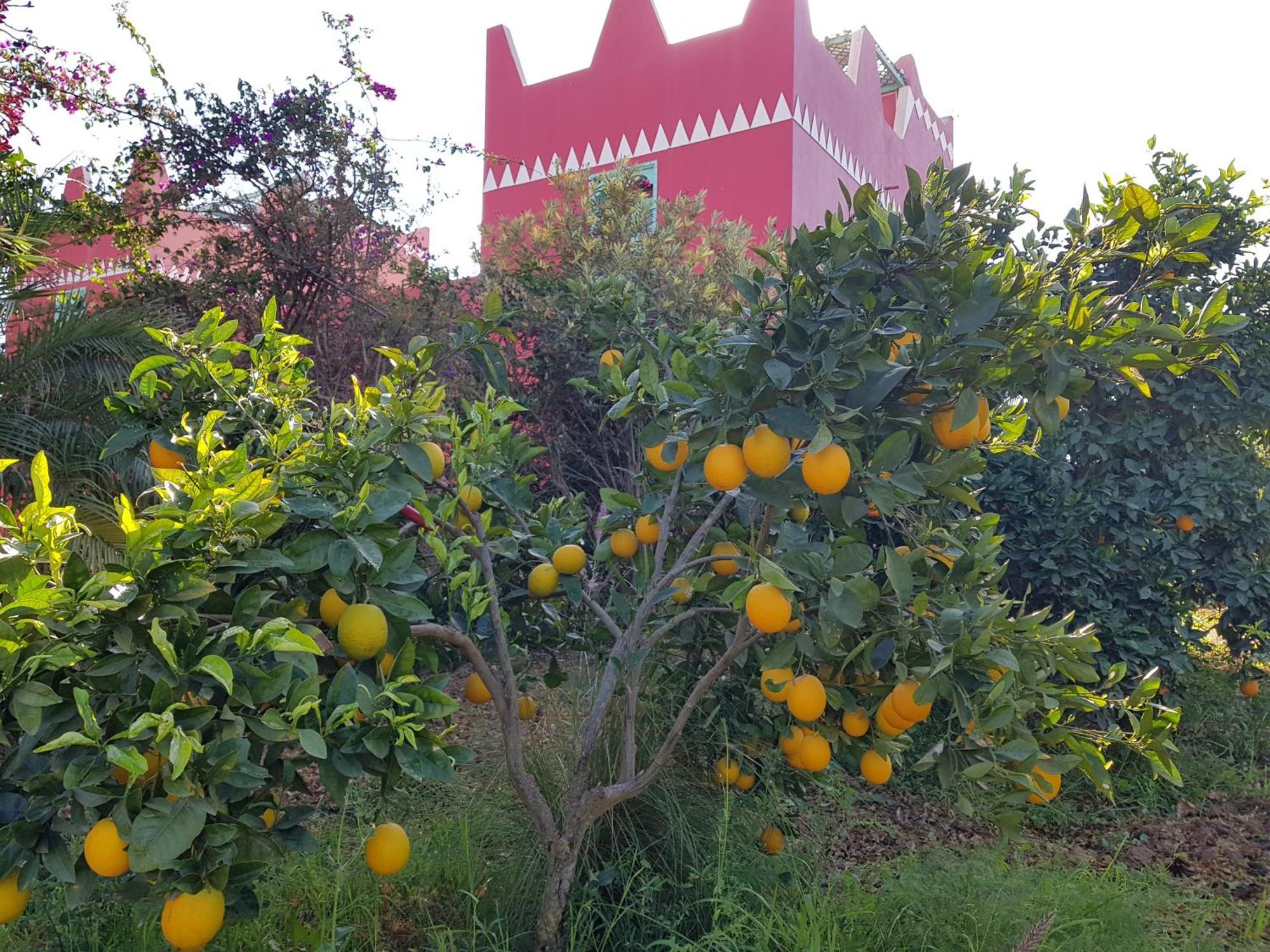 Riad-Villa Agadir-Taroudant Sidi Boumoussa Экстерьер фото